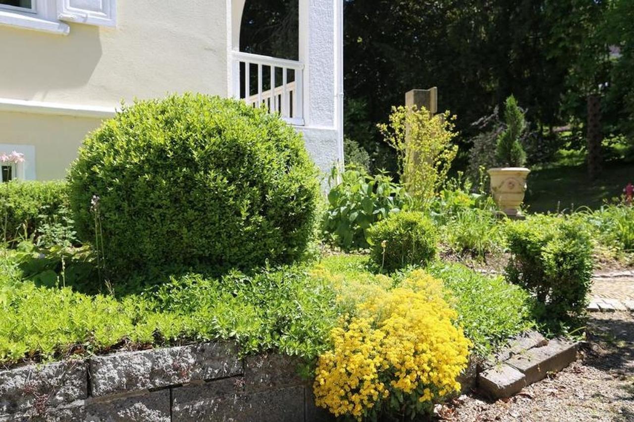Villa Hedwig Badenweiler Bagian luar foto